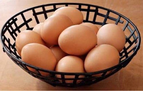 EGG