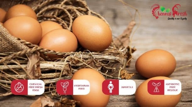 Egg